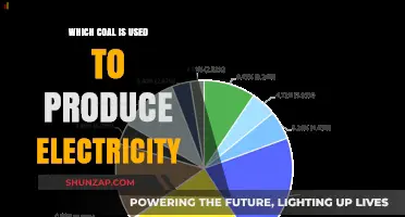 Understanding the Types of Coal Used for Electricity Generation