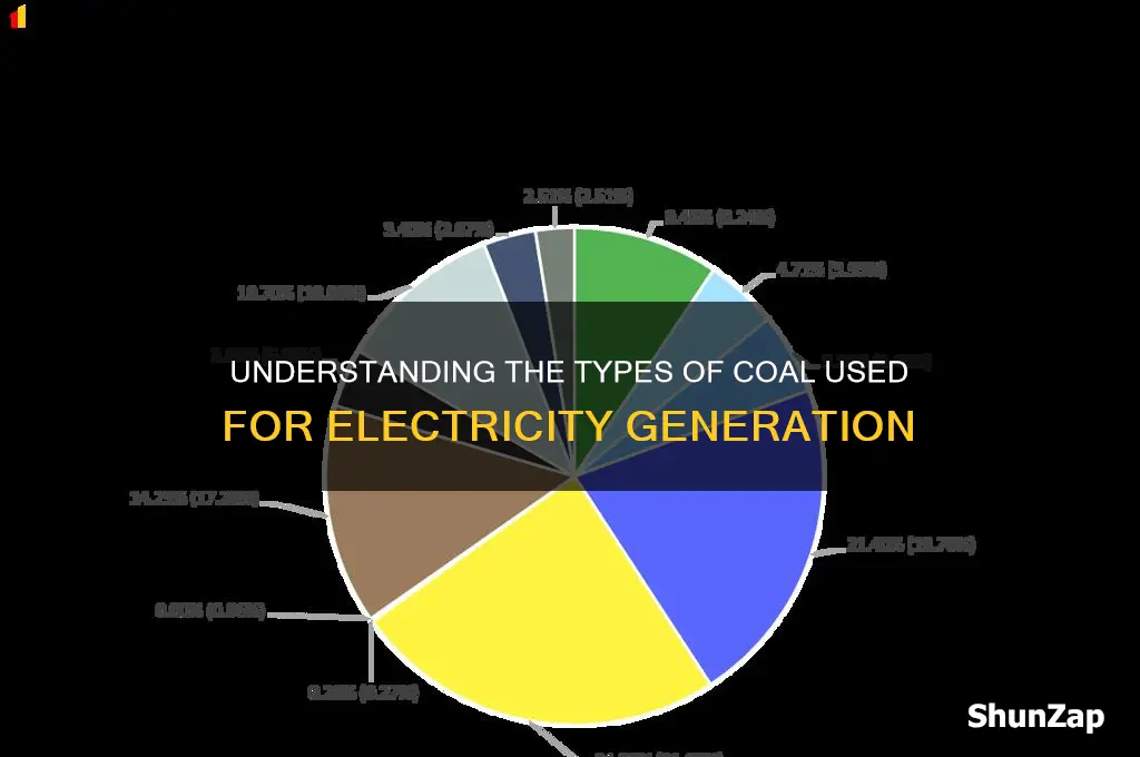 which coal is used to produce electricity
