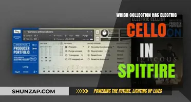 Spitfire's Electric Cello: A Unique Collection