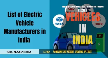 India's Electric Vehicle Revolution: Top Manufacturers Unveiled