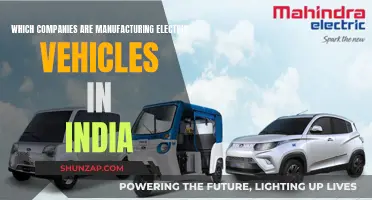 Electric Vehicle Revolution: Indian Manufacturers Leading the Way