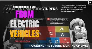 Electric Revolution: Who Wins in the EV Market?