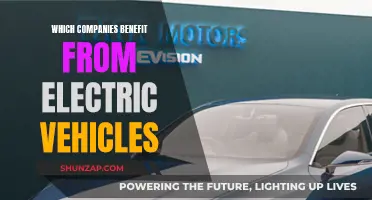 Electric Vehicles: Powering Profits for Forward-Thinking Companies