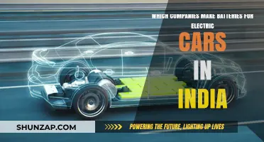 Top Indian Companies Manufacturing Electric Car Batteries: A Comprehensive Guide