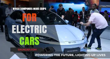 Top Chipmakers Powering the Electric Vehicle Revolution: Who's Leading?