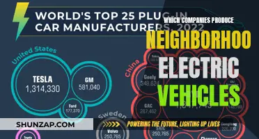 Exploring the World of Neighborhood Electric Vehicles: Who's Making Them?