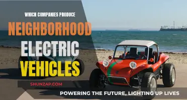 Electric Neighborhoods: Who's Producing Our Community Cars?