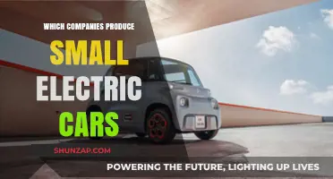 Top Small Electric Car Manufacturers Revolutionizing Eco-Friendly Urban Mobility