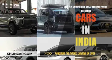 Electric Revolution: Indian Companies Poised to Profit from EV Boom