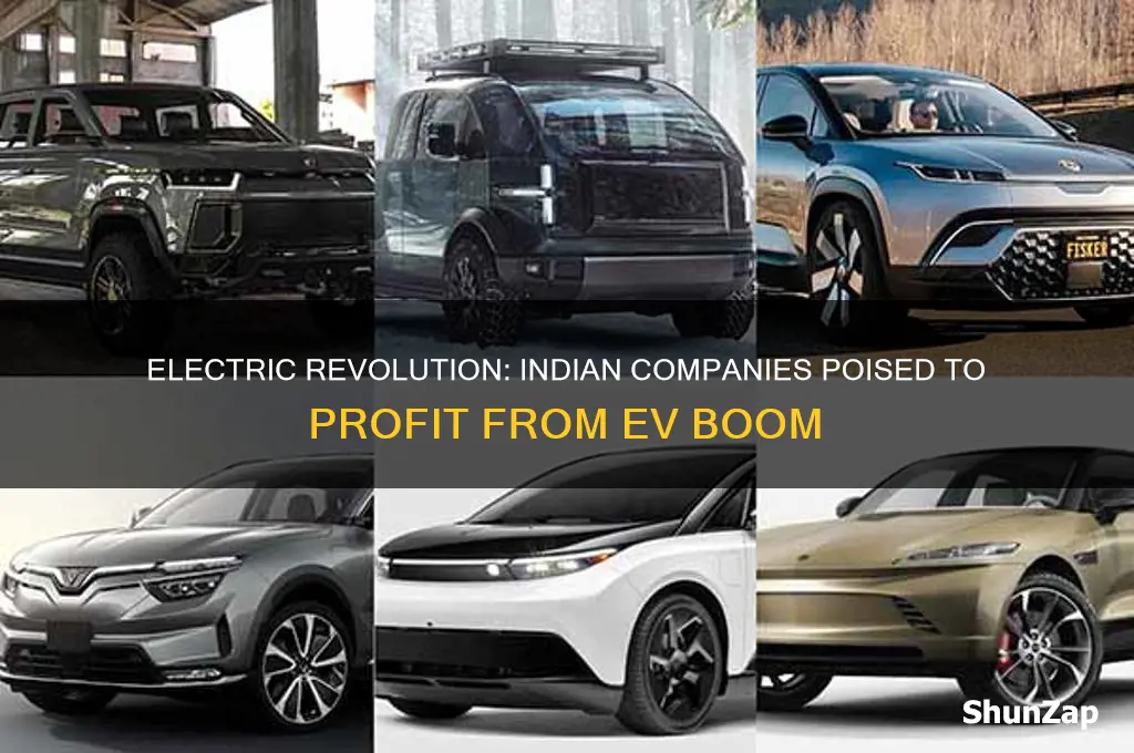 which companies will benefit from electric cars in india
