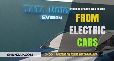 Electric Vehicle Revolution: Key Companies Poised to Profit from the Shift