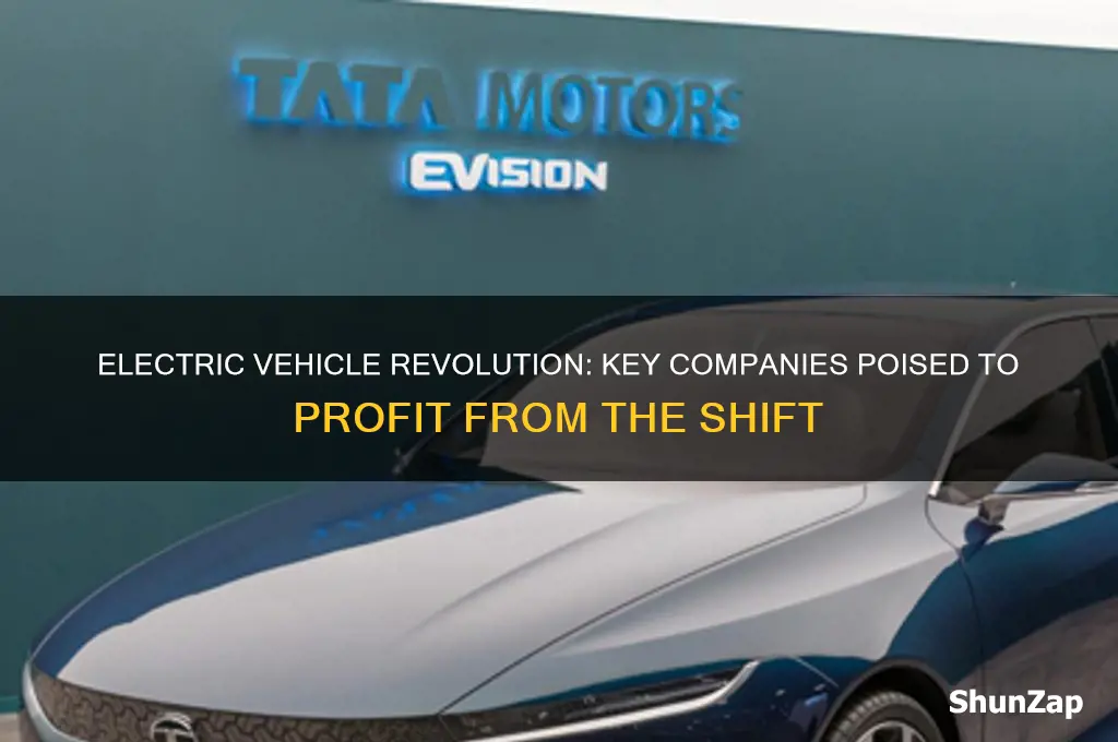 which companies will benefit from electric cars
