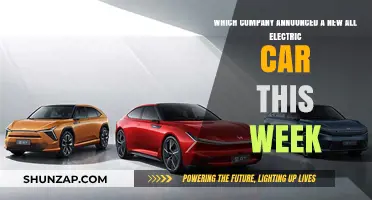 Revolutionary All-Electric Car Unveiled: Which Company Made the Announcement This Week?