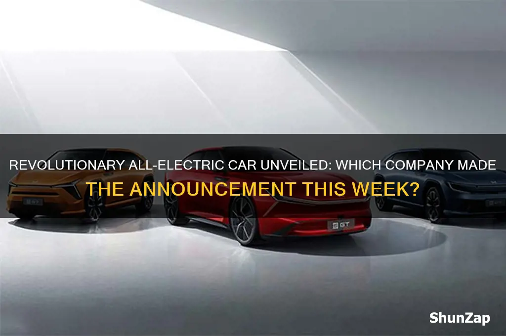 which company announced a new all electric car this week