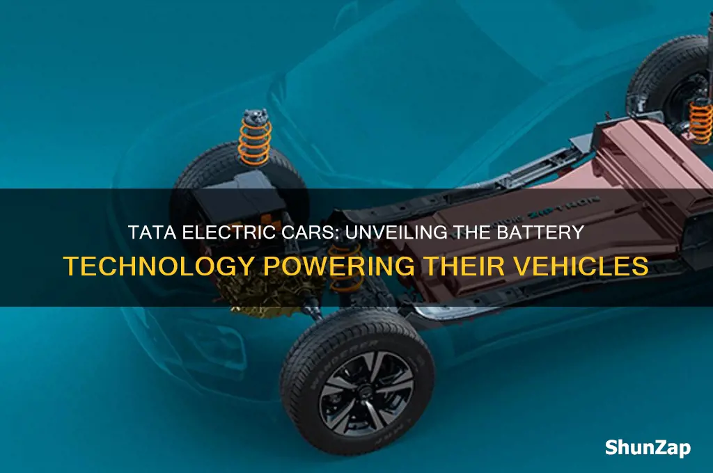 which company battery used in tata electric car