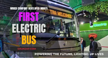 India's First Electric Bus: Which Company Made it Possible?