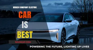 Top Electric Car Brands: Which Company Offers the Best EV?