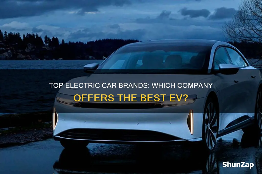 which company electric car is best