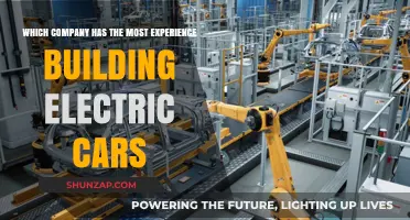Leading the Charge: The Most Experienced Electric Car Manufacturer