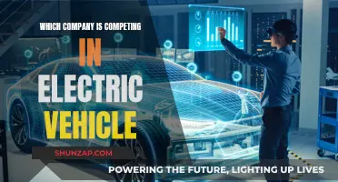 Electric Vehicle Market: Top Competitors and Their Strategies