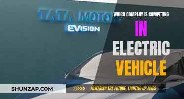 The Electric Vehicle Revolution: Who's Leading the Charge?