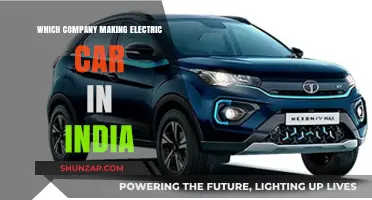 Top Indian Companies Leading the Electric Car Revolution in India