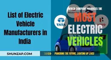 Global Leaders in Electric Vehicle Production: A Comprehensive Overview