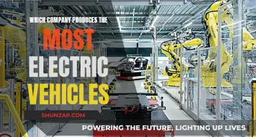 Electric Vehicle Revolution: Who's Leading the Charge?