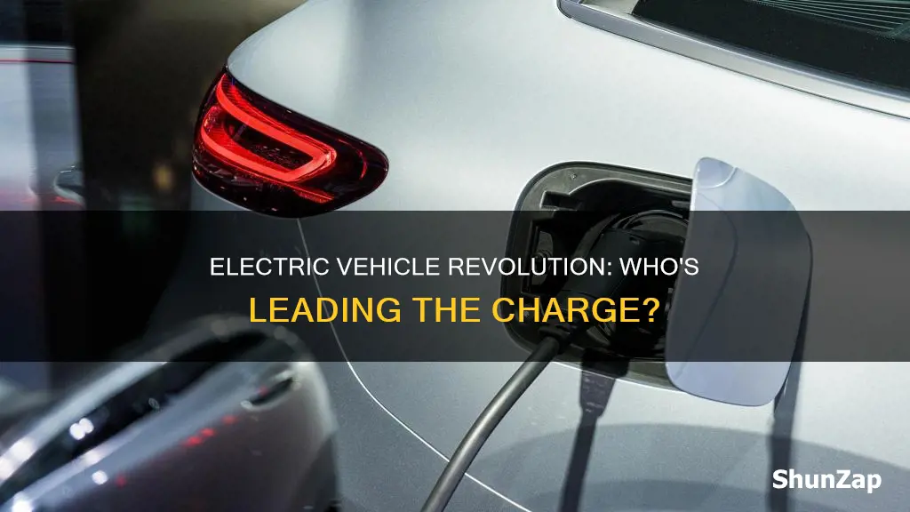 which company produces the most electric vehicles