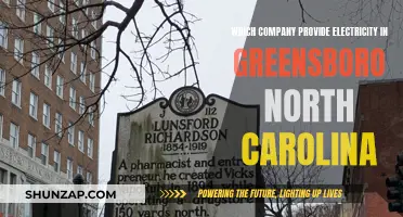Electricity Provider for Greensboro, North Carolina: Who Powers the City?
