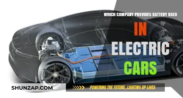 Top Electric Car Battery Manufacturers: Powering the Future of Mobility