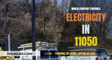 Powering Your Home: Discover Your Local Electricity Provider in 11050