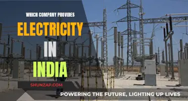 Powering India: Exploring the Country's Electricity Providers