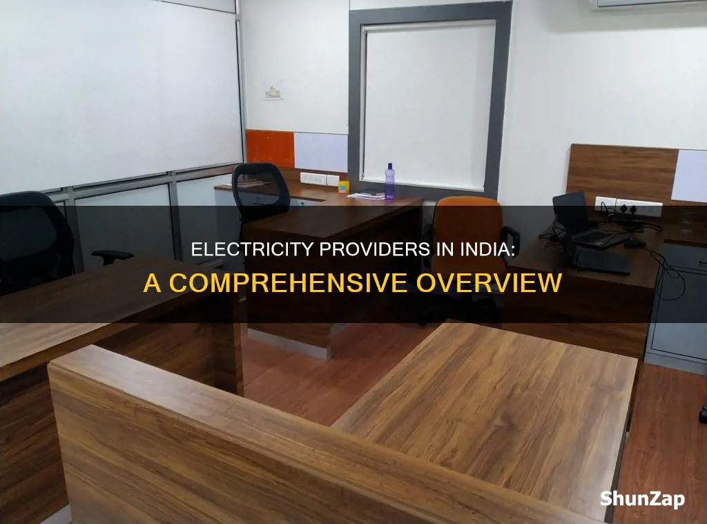 which company provides electricity in india