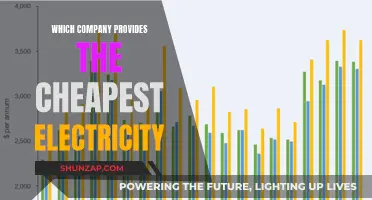 Uncover the Cheapest Electricity Deals: A Company Comparison