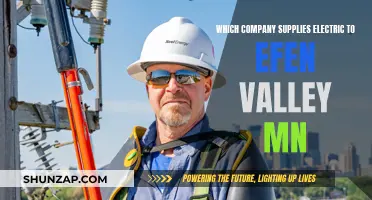 Electricity Supplier for Efen Valley, MN: Who's the Power Broker?