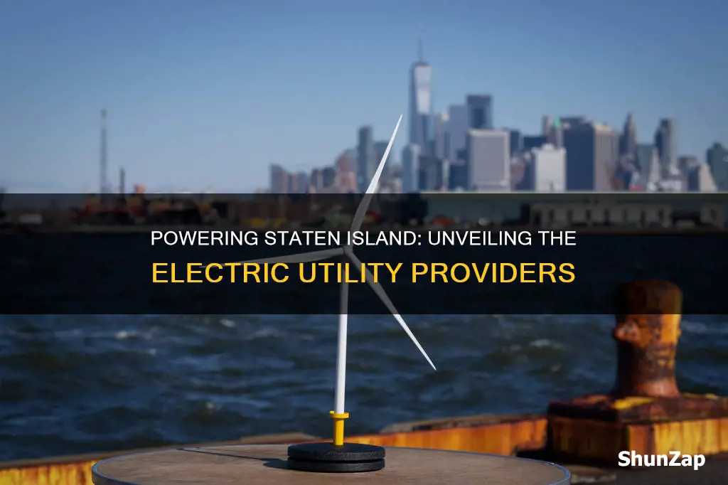 which company supplies electric to staten island