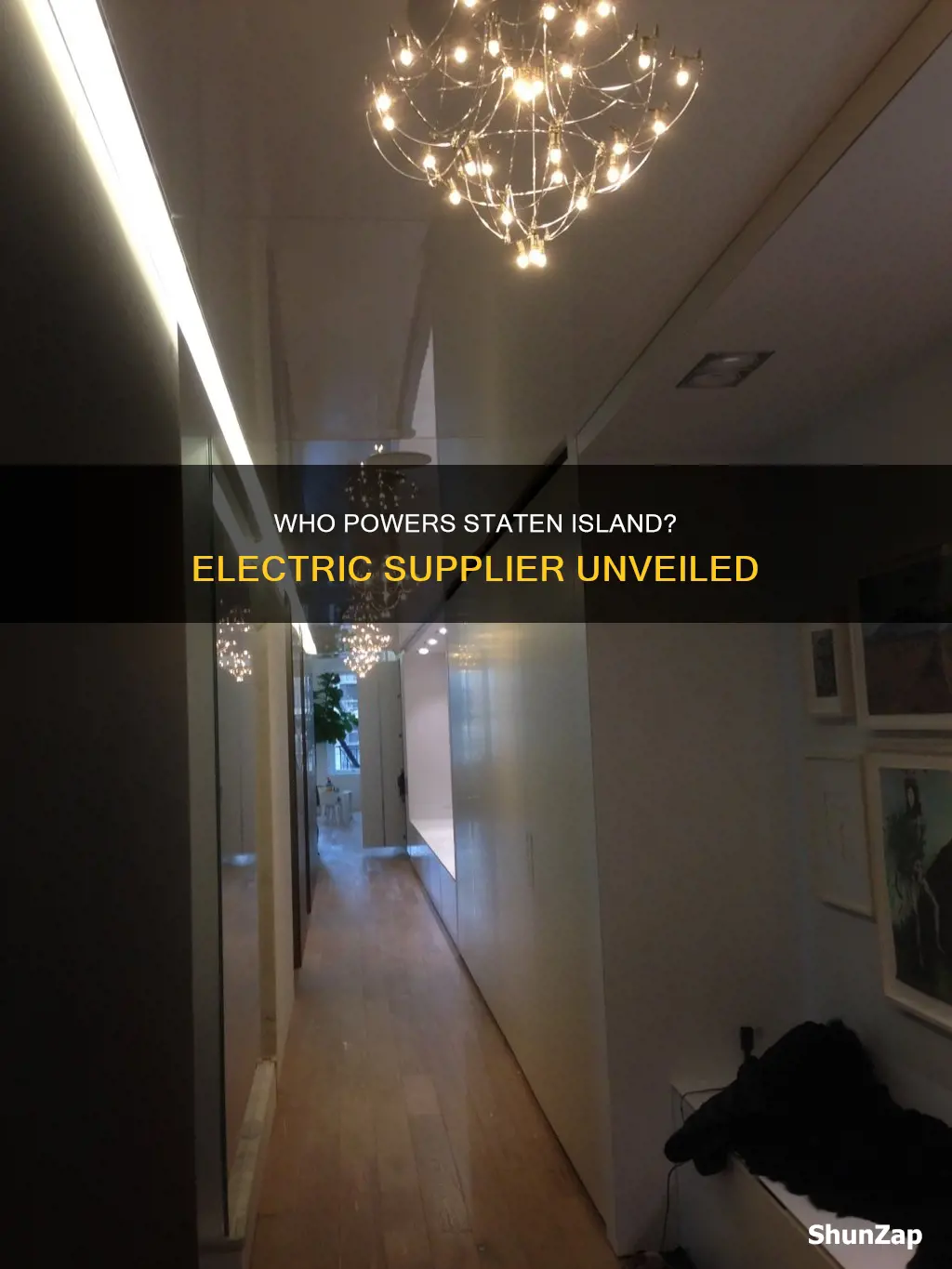 which company supplies electric to staten island