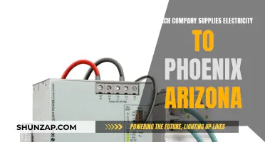 Electricity Suppliers in Phoenix: Who Powers the Valley of the Sun?