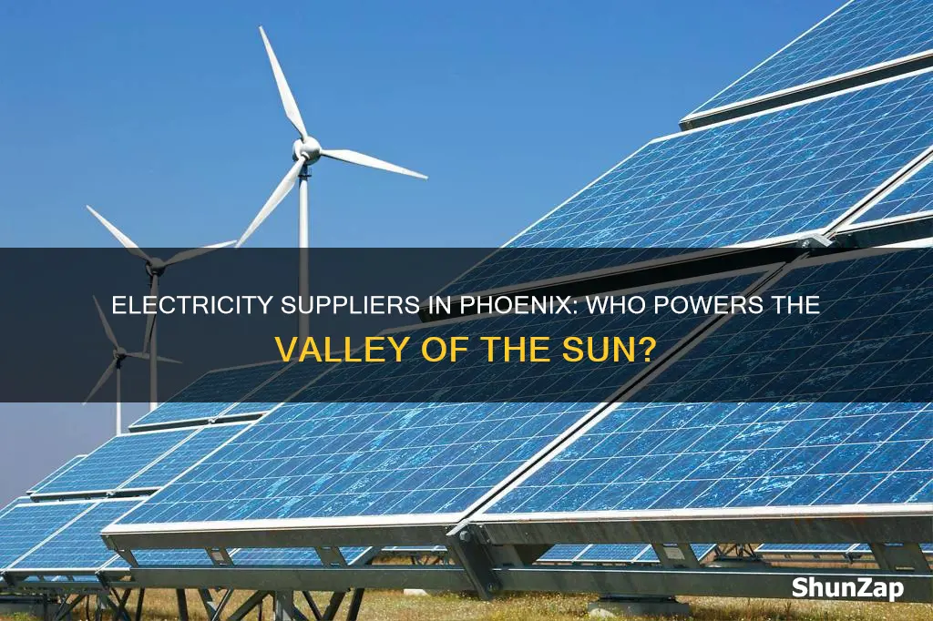 which company supplies electricity to phoenix arizona