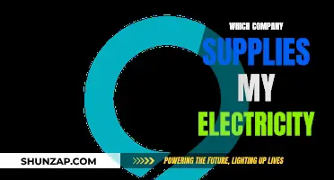 Electricity Supply: Who Powers Your Home?
