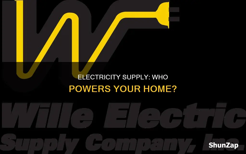 which company supplies my electricity