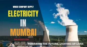 Unveiling Mumbai's Power: Who Lights Up the City?