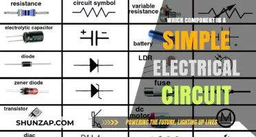 Understanding Electrical Circuits: Identifying Key Components