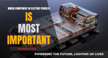 Powering the Future: Unveiling the Heart of Electric Vehicles