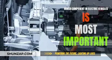 The Heart of Electric Vehicles: Powering the Revolution