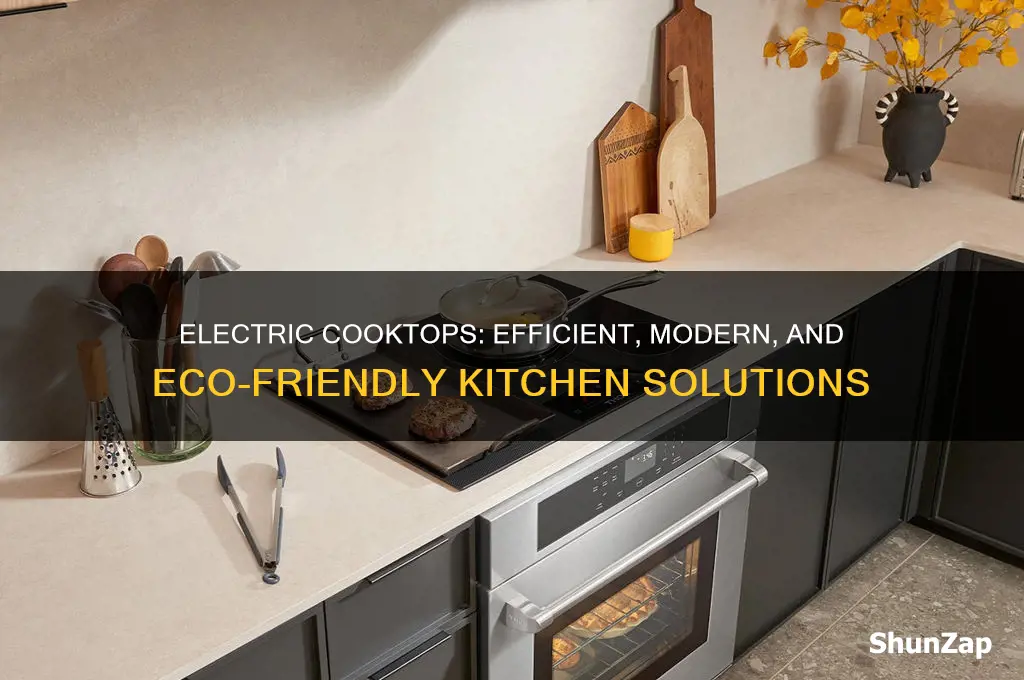 which cooktop use electricity