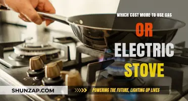 Gas vs. Electric Stoves: Which Costs More to Use?