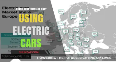 Electric Revolution: Countries Leading the Charge with All-Electric Fleets