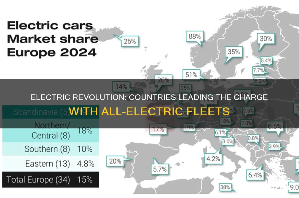 which countries are only using electric cars